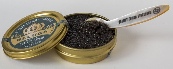 Beluga Caviar