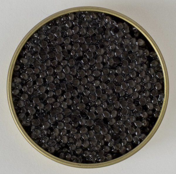 Beluga Caviar