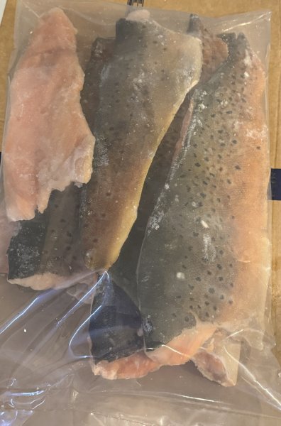 Havsöringfilè